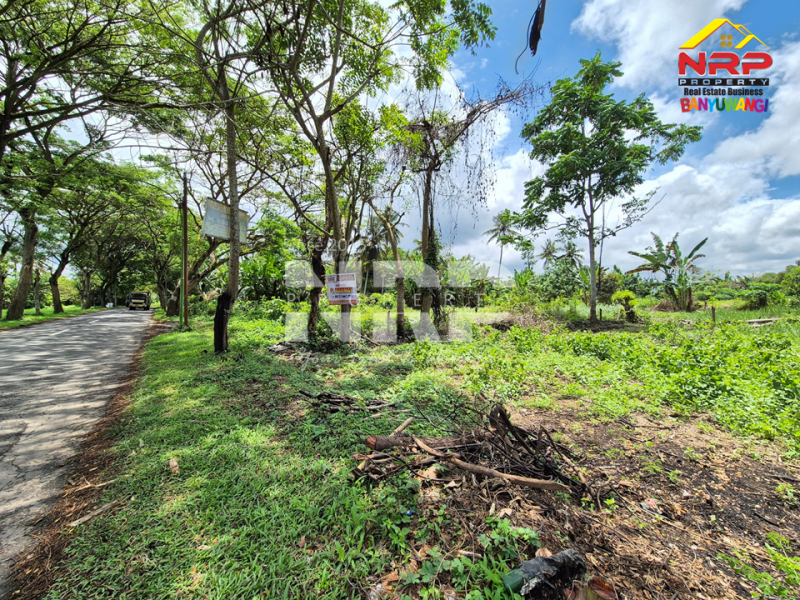 Disewakan Tanah Depan Poltek Banyuwangi,  Jl. Karangbendo Arah Bandara Banyuwangi Disewakan Tanah Depan Poltek Banyuwangi,  Jl. Karangbendo Arah Bandara Banyuwangi Disewakan Tanah Depan Poltek Banyuwangi,&nbsp; Jl. Karangbendo Arah Bandara Banyuwangi
Lokasi Sangat Cocok Untuk Investasi, dibangun Rumah Kos, Pertokoan, NRP BANYUWANGI