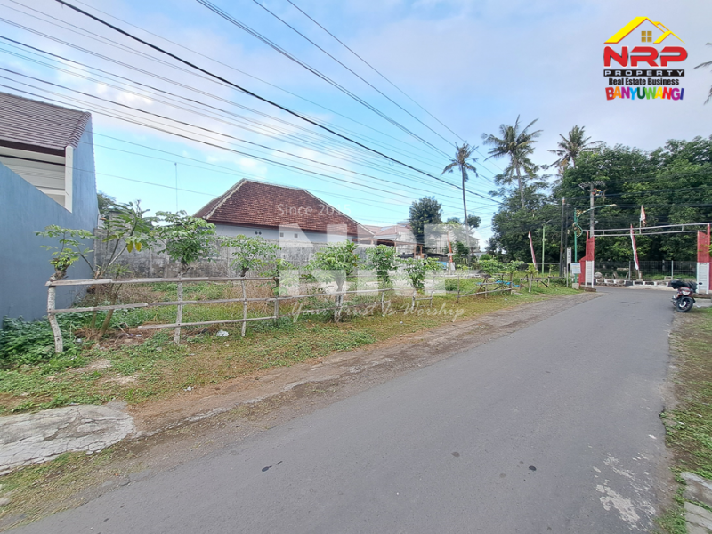 Disewakan Tanah Kosong murah strategis di Sobo Banyuwangi  Disewakan Tanah Kosong murah strategis di Sobo Banyuwangi  Disewakan Tanah Kosong murah strategis di Sobo Banyuwangi&nbsp;
Depan kawasan pendidikan,&nbsp; Dekat dengan sentra bisnis dan kuliner Jl. NRP BANYUWANGI
