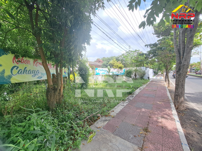 Disewakan Tanah Strategis Di Kebalenan - Banyuwangi  Disewakan Tanah Strategis Di Kebalenan - Banyuwangi  Dijual/Disewakan Tanah Strategis Di Kebalenan - Banyuwangi&nbsp;
Dekat dengan kantor pemerintahan,&nbsp; fasilitas pendidikan, perbelanjaan, transportasi NRP BANYUWANGI