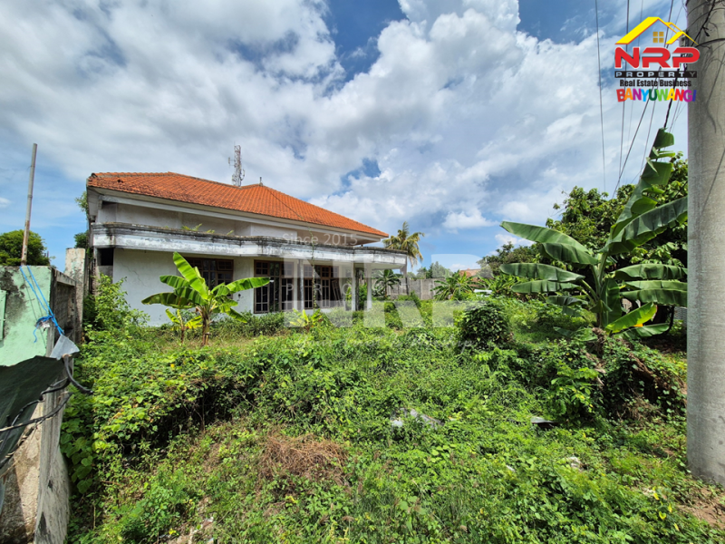 INVESTASI EMAS !! Dijual Tanah Prospek disebelah Kantor Pemkab Banyuwangi INVESTASI EMAS !! Dijual Tanah Prospek disebelah Kantor Pemkab Banyuwangi INVESTASI EMAS !! Dijual Tanah Prospek disebelah Kantor Pemkab Banyuwangi
Berada di Pusat Kota, Mobilitas padat orang pemerintahan.
Sangat Cocok untuk NRP BANYUWANGI