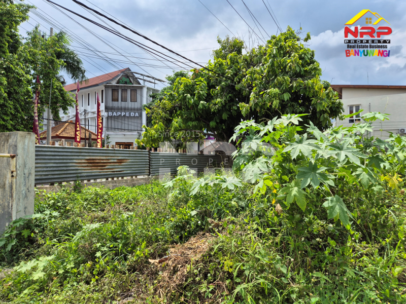 INVESTASI EMAS !! Dijual Tanah Prospek disebelah Kantor Pemkab Banyuwangi INVESTASI EMAS !! Dijual Tanah Prospek disebelah Kantor Pemkab Banyuwangi INVESTASI EMAS !! Dijual Tanah Prospek disebelah Kantor Pemkab Banyuwangi
Berada di Pusat Kota, Mobilitas padat orang pemerintahan.
Sangat Cocok untuk NRP BANYUWANGI