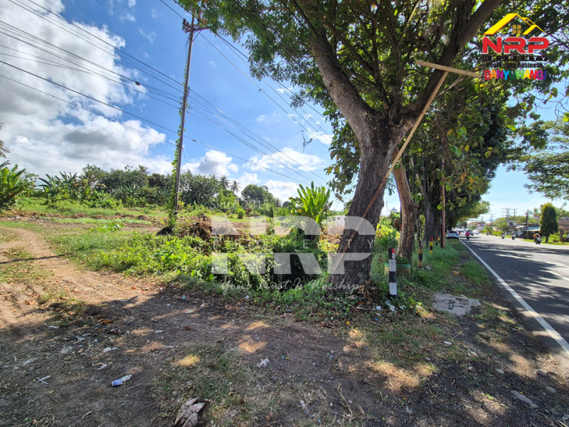 Jual Rumah Cukup dengan uang 5 Juta saja kamu udah dapet rumah minimalis di Banyuwangi  JUAL PERUMAHAN MURAH HARGA 100 JUTAAN DI BANYUWANGI KOTA  Punya rumah strategis nggak harus mahal! Cukup dengan uang 5 Juta saja kamu udah dapet rumah minimalis di Banyuwangi&nbsp;
Kini hadir PERUMAHAN BARU di NRP BANYUWANGI