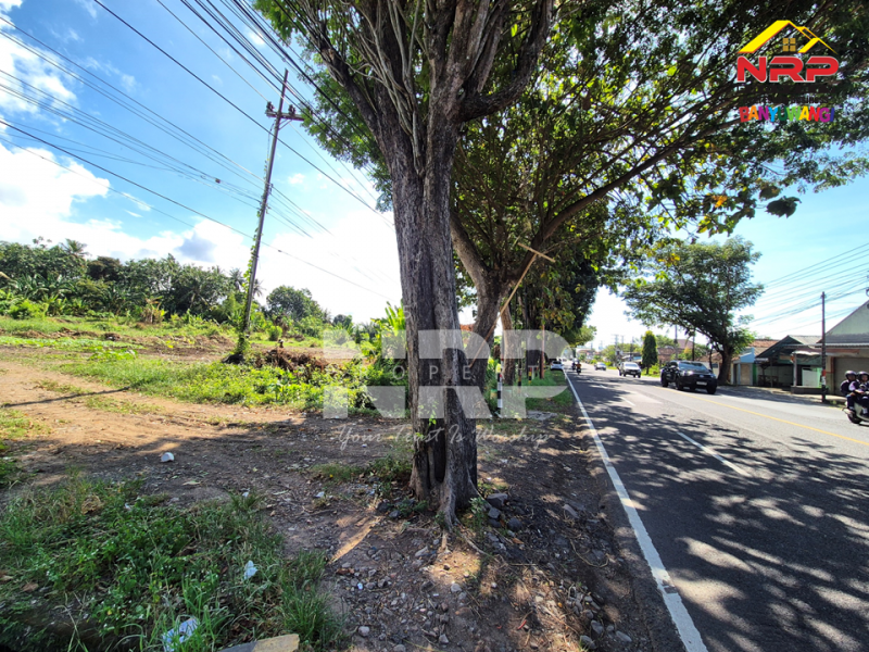Jual Rumah Cukup dengan uang 5 Juta saja kamu udah dapet rumah minimalis di Banyuwangi  JUAL PERUMAHAN MURAH HARGA 100 JUTAAN DI BANYUWANGI KOTA  Punya rumah strategis nggak harus mahal! Cukup dengan uang 5 Juta saja kamu udah dapet rumah minimalis di Banyuwangi&nbsp;
Kini hadir PERUMAHAN BARU di NRP BANYUWANGI