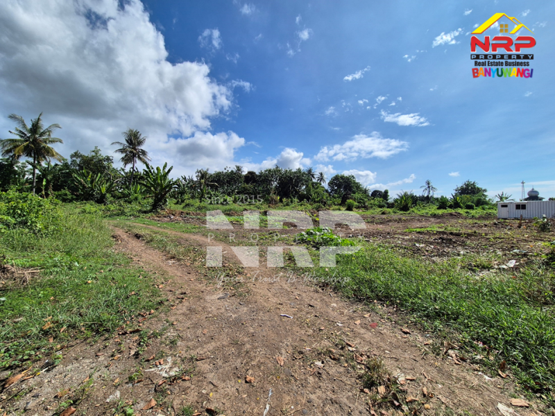 Jual Rumah Cukup dengan uang 5 Juta saja kamu udah dapet rumah minimalis di Banyuwangi  JUAL PERUMAHAN MURAH HARGA 100 JUTAAN DI BANYUWANGI KOTA  Punya rumah strategis nggak harus mahal! Cukup dengan uang 5 Juta saja kamu udah dapet rumah minimalis di Banyuwangi&nbsp;
Kini hadir PERUMAHAN BARU di NRP BANYUWANGI