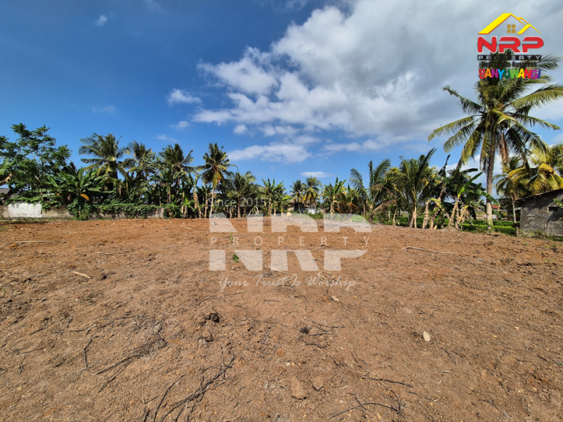 JUAL TANAH DI TEPI JL SUMBERAYU MUNCAR - BANYUWANGI  JUAL TANAH DI TEPI JL SUMBERAYU MUNCAR - BANYUWANGI  JUAL TANAH DI TEPI JL SUMBERAYU MUNCAR - BANYUWANGI&nbsp;
Cari tanah untuk investasi atau bangun usaha di kawasan Muncar?
Ini bisa jadi pilihan yang NRP BANYUWANGI