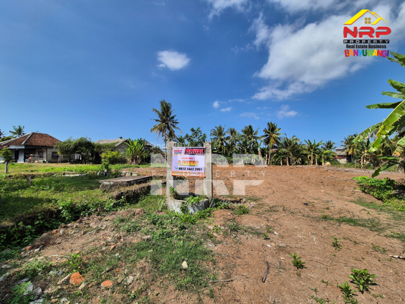 JUAL TANAH DI TEPI JL SUMBERAYU MUNCAR - BANYUWANGI  JUAL TANAH DI TEPI JL SUMBERAYU MUNCAR - BANYUWANGI  JUAL TANAH DI TEPI JL SUMBERAYU MUNCAR - BANYUWANGI&nbsp;
Cari tanah untuk investasi atau bangun usaha di kawasan Muncar?
Ini bisa jadi pilihan yang NRP BANYUWANGI