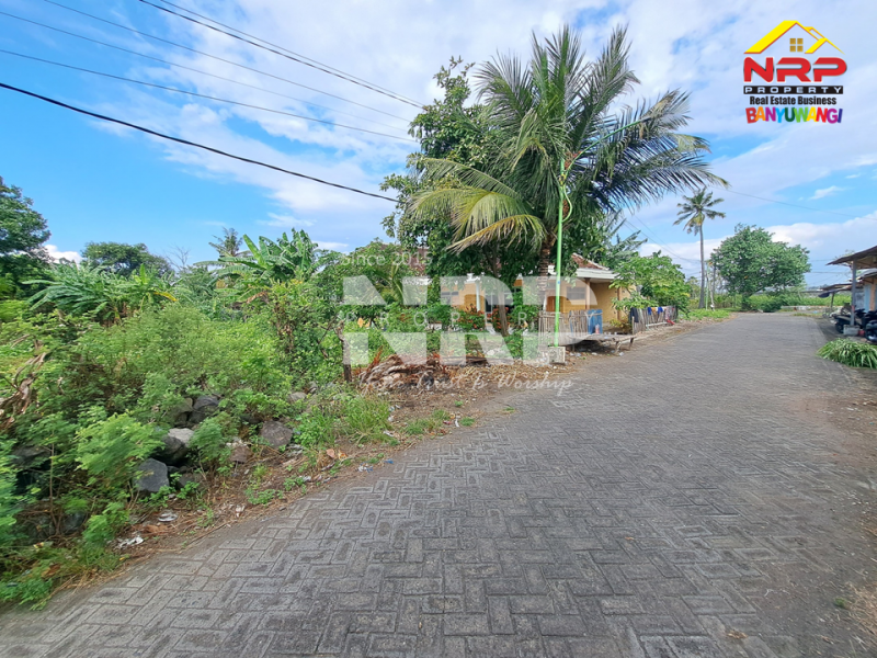 LIMITED EDITION !! Dijual Tanah Pinggir Pantai di Wongsorejo - Banyuwangi  Dijual tanah pinggir pantai di Wongsorejo Banyuwangi  LIMITED EDITION !! Dijual Tanah Pinggir Pantai di Wongsorejo - Banyuwangi&nbsp;
0 meter dari Pantai, 10 Menit dari Jl. Utama Wongsorejo.&nbsp;
Cocok untuk NRP BANYUWANGI