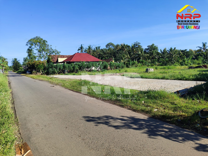 NEW PERUMAHAN SUBSIDI DI BELAKANG KAMPUS UBI, BENCULUK - BANYUWANGI  Jual rumah subsidi area benculuk, srono, cluring banyuwangi  NEW PERUMAHAN SUBSIDI DI BELAKANG KAMPUS UBI, BENCULUK - BANYUWANGI&nbsp;
Perumahan baru dengan fasilitas umum yang lengkap serta lokasi yang NRP BANYUWANGI