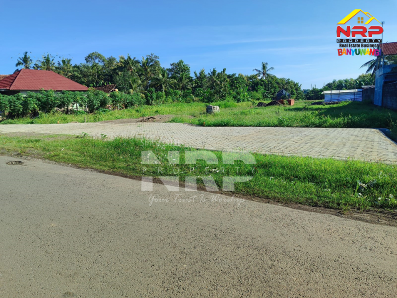 NEW PERUMAHAN SUBSIDI DI BELAKANG KAMPUS UBI, BENCULUK - BANYUWANGI  Jual rumah subsidi area benculuk, srono, cluring banyuwangi  NEW PERUMAHAN SUBSIDI DI BELAKANG KAMPUS UBI, BENCULUK - BANYUWANGI&nbsp;
Perumahan baru dengan fasilitas umum yang lengkap serta lokasi yang NRP BANYUWANGI