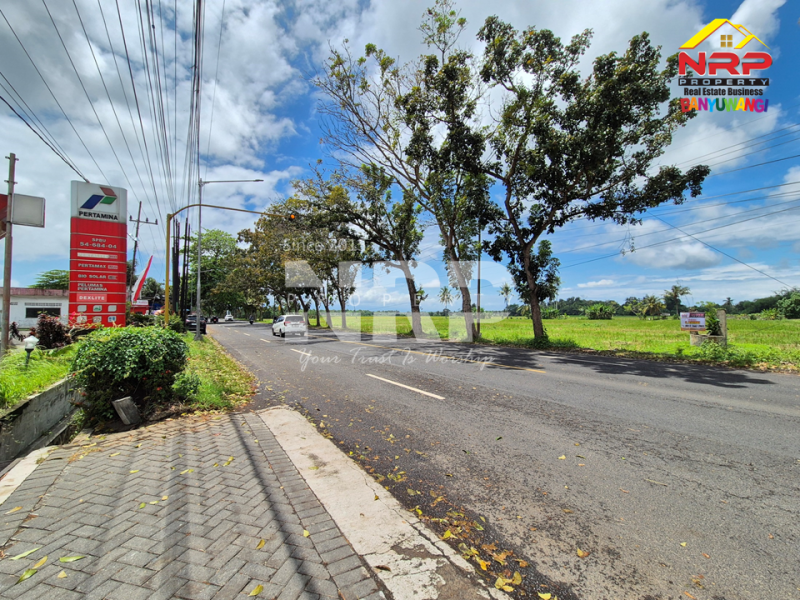 Peluang Investasi Strategis !! Dijual tanah depan POM Kabat, dekat kampus Poltek Banyuwangi. Dijual tanah prospek di Tepi Jalan Rogojampi Banyuwangi  &nbsp;Peluang Investasi Strategis !! Dijual tanah depan POM Kabat, dekat kampus Poltek Banyuwangi.
Arus lalu lintas ramai, nilai investasi terus naik!
Cocok NRP BANYUWANGI