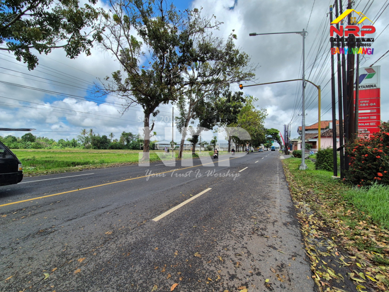 Peluang Investasi Strategis !! Dijual tanah depan POM Kabat, dekat kampus Poltek Banyuwangi. Dijual tanah prospek di Tepi Jalan Rogojampi Banyuwangi  &nbsp;Peluang Investasi Strategis !! Dijual tanah depan POM Kabat, dekat kampus Poltek Banyuwangi.
Arus lalu lintas ramai, nilai investasi terus naik!
Cocok NRP BANYUWANGI