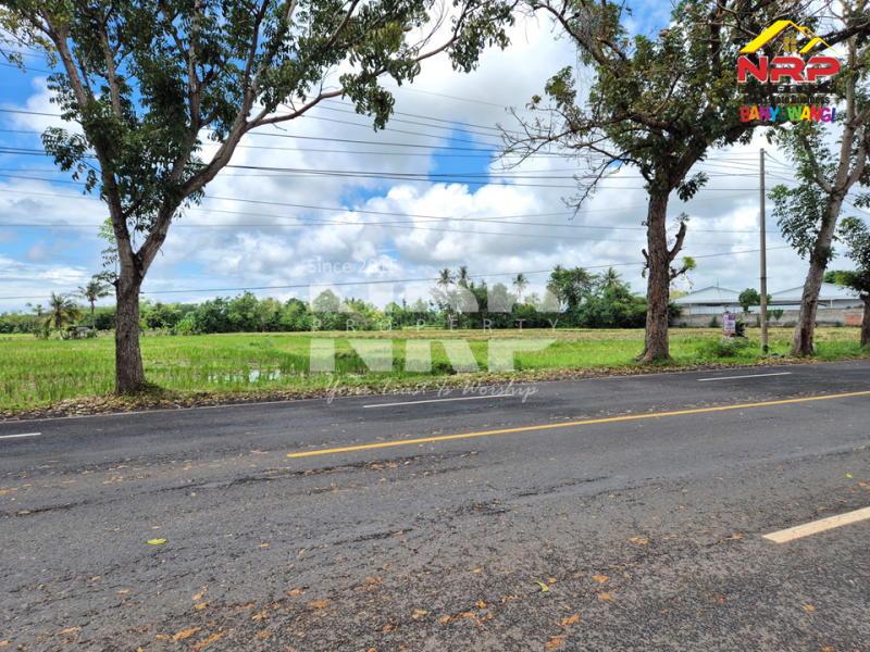 Peluang Investasi Strategis !! Dijual tanah depan POM Kabat, dekat kampus Poltek Banyuwangi. Dijual tanah prospek di Tepi Jalan Rogojampi Banyuwangi  &nbsp;Peluang Investasi Strategis !! Dijual tanah depan POM Kabat, dekat kampus Poltek Banyuwangi.
Arus lalu lintas ramai, nilai investasi terus naik!
Cocok NRP BANYUWANGI