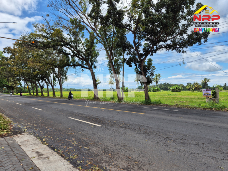 Peluang Investasi Strategis !! Dijual tanah depan POM Kabat, dekat kampus Poltek Banyuwangi. Dijual tanah prospek di Tepi Jalan Rogojampi Banyuwangi  &nbsp;Peluang Investasi Strategis !! Dijual tanah depan POM Kabat, dekat kampus Poltek Banyuwangi.
Arus lalu lintas ramai, nilai investasi terus naik!
Cocok NRP BANYUWANGI