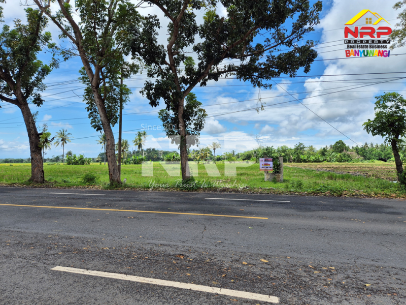 Peluang Investasi Strategis !! Dijual tanah depan POM Kabat, dekat kampus Poltek Banyuwangi. Dijual tanah prospek di Tepi Jalan Rogojampi Banyuwangi  &nbsp;Peluang Investasi Strategis !! Dijual tanah depan POM Kabat, dekat kampus Poltek Banyuwangi.
Arus lalu lintas ramai, nilai investasi terus naik!
Cocok NRP BANYUWANGI