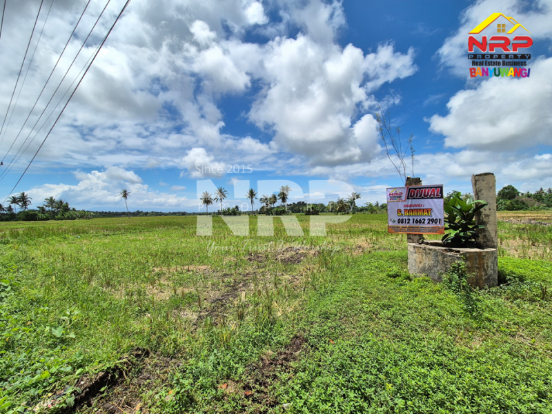 Peluang Investasi Strategis !! Dijual tanah depan POM Kabat, dekat kampus Poltek Banyuwangi. Dijual tanah prospek di Tepi Jalan Rogojampi Banyuwangi  &nbsp;Peluang Investasi Strategis !! Dijual tanah depan POM Kabat, dekat kampus Poltek Banyuwangi.
Arus lalu lintas ramai, nilai investasi terus naik!
Cocok NRP BANYUWANGI