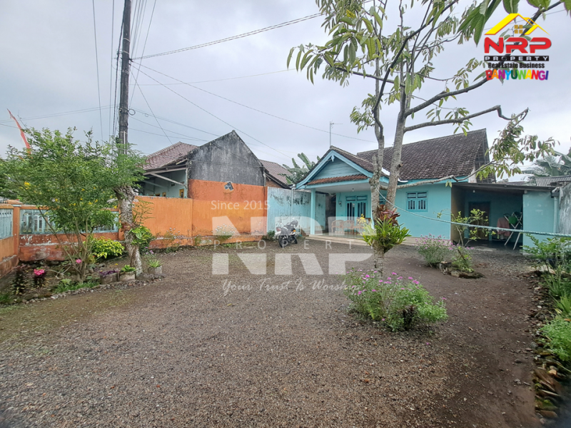RUMAH DIJUAL terletak di Desa GENDOH, BANYUWANGI RUMAH DIJUAL terletak di Desa GENDOH, BANYUWANGI RUMAH DIJUAL terletak di Desa GENDOH, BANYUWANGI
Cari rumah dengan suasana tenang, halaman luas, dan view persawahan langsung dari depan rumah?
Rumah di NRP BANYUWANGI