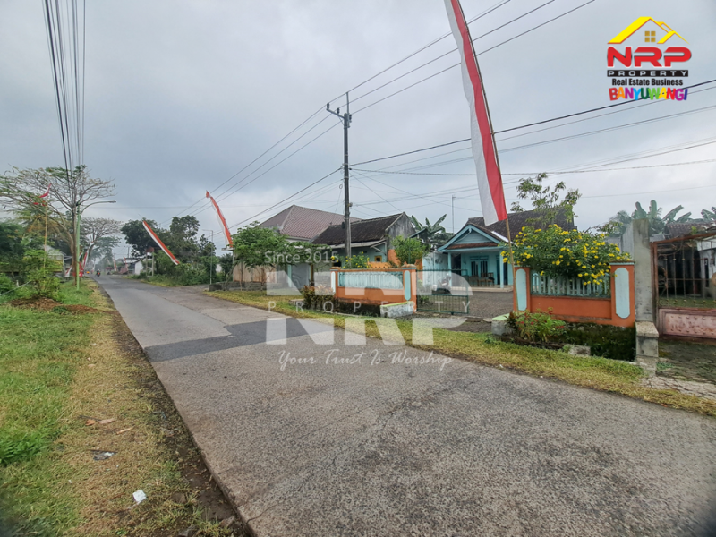RUMAH DIJUAL terletak di Desa GENDOH, BANYUWANGI RUMAH DIJUAL terletak di Desa GENDOH, BANYUWANGI RUMAH DIJUAL terletak di Desa GENDOH, BANYUWANGI
Cari rumah dengan suasana tenang, halaman luas, dan view persawahan langsung dari depan rumah?
Rumah di NRP BANYUWANGI