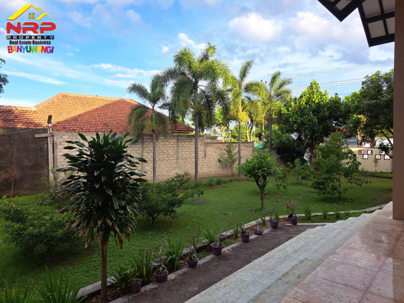 Dijual Rumah Megah Full Prabot di Jl. Mawar, Giri Dijual Rumah Megah Full Prabot di Jl. Mawar, Giri Banyuwangi  Dijual Rumah Megah Full Prabot di Jl. Mawar, Giri - Banyuwangi. Hunian Exclusive dekat dengan Fasilitas Pusat Pendidikan Favourite di Kota NRP BANYUWANGI