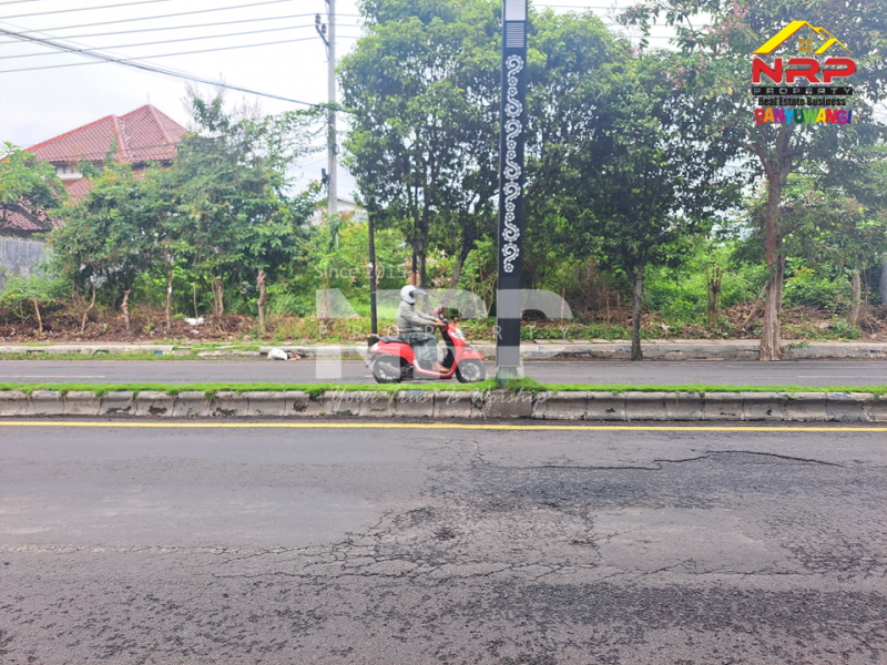 Tanah disewakan di Jl. Gajah Mada Banyuwangi Tanah disewakan di Jl. Gajah Mada Banyuwangi Butuh lahan strategis untuk usaha? Tanah disewakan di Jl. Gajah Mada Banyuwangi
Lokasi premium, mudah dijangkau, cocok berbagai jenis usaha.

Luas Tanah : NRP BANYUWANGI