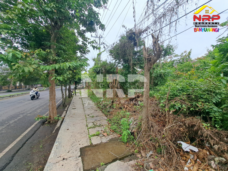 Tanah disewakan di Jl. Gajah Mada Banyuwangi Tanah disewakan di Jl. Gajah Mada Banyuwangi Butuh lahan strategis untuk usaha? Tanah disewakan di Jl. Gajah Mada Banyuwangi
Lokasi premium, mudah dijangkau, cocok berbagai jenis usaha.

Luas Tanah : NRP BANYUWANGI