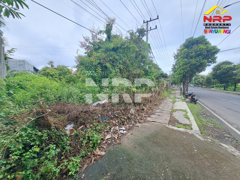 Tanah disewakan di Jl. Gajah Mada Banyuwangi Tanah disewakan di Jl. Gajah Mada Banyuwangi Butuh lahan strategis untuk usaha? Tanah disewakan di Jl. Gajah Mada Banyuwangi
Lokasi premium, mudah dijangkau, cocok berbagai jenis usaha.

Luas Tanah : NRP BANYUWANGI
