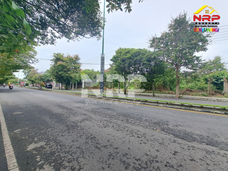 Tanah disewakan di Jl. Gajah Mada Banyuwangi Tanah disewakan di Jl. Gajah Mada Banyuwangi Butuh lahan strategis untuk usaha? Tanah disewakan di Jl. Gajah Mada Banyuwangi
Lokasi premium, mudah dijangkau, cocok berbagai jenis usaha.

Luas Tanah : NRP BANYUWANGI