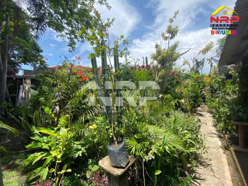 Tanah hook di Jl. Basuki Rahmat siap jadi lokasi impianmu  Dijual Tanah hook di Jl. Basuki Rahmat siap jadi lokasi impianmu  Cari tanah di tengah kota? Ini dia!
Tanah hook di Jl. Basuki Rahmat siap jadi lokasi impianmu&nbsp;
Strategis, ramai, dan potensial banget buat NRP BANYUWANGI