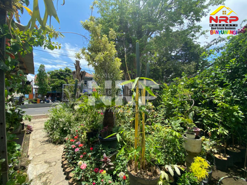 Tanah hook di Jl. Basuki Rahmat siap jadi lokasi impianmu  Dijual Tanah hook di Jl. Basuki Rahmat siap jadi lokasi impianmu  Cari tanah di tengah kota? Ini dia!
Tanah hook di Jl. Basuki Rahmat siap jadi lokasi impianmu&nbsp;
Strategis, ramai, dan potensial banget buat NRP BANYUWANGI