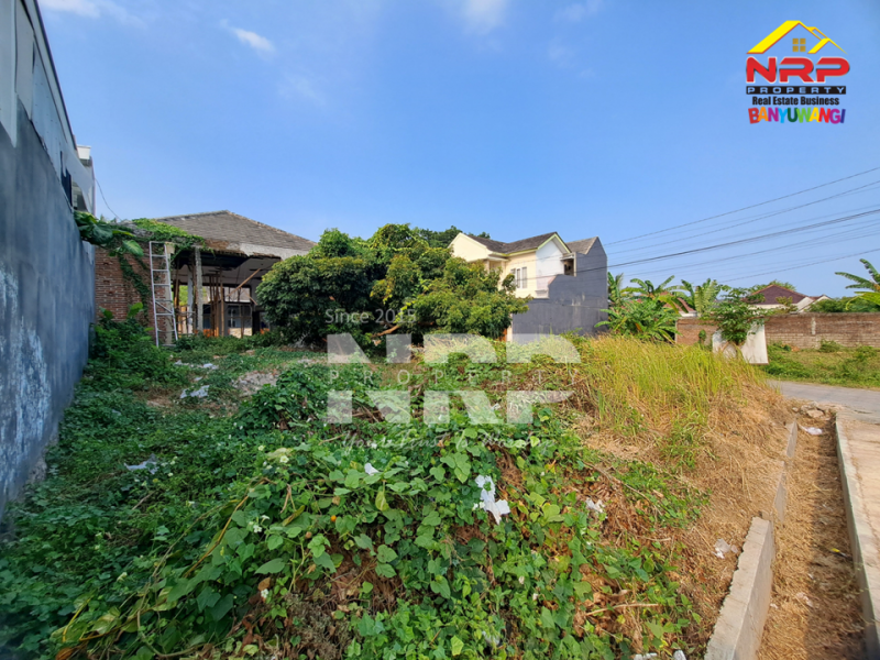 Tanah Hook Dijual dikawasan Perumahan Exclusive, Tamanbaru - Banyuwangi  Tanah Hook Dijual dikawasan Perumahan Exclusive, Tamanbaru - Banyuwangi  Tanah Hook Dijual dikawasan Perumahan Exclusive, Tamanbaru - Banyuwangi&nbsp;
Posisi sudut, lebih luas, Lokasi favorit, akses ke mana-mana mudah&nbsp;

Luas NRP BANYUWANGI