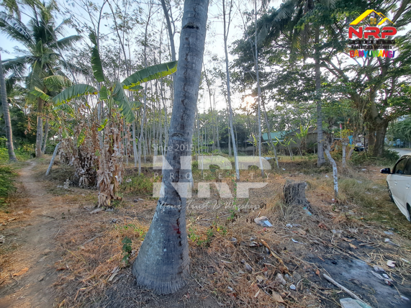 Tanah Kebun Dijual Masih Produkti dan Strategis di Kalipuro - Banyuwangi  Tanah Kebun Dijual Masih Produkti dan Strategis di Kalipuro - Banyuwangi  Tanah Kebun Dijual Masih Produkti dan Strategis di Kalipuro - Banyuwangi&nbsp;
Dekat dengan kantor koramil klatak, dekat dengan SMKN 1 Kalipuro&nbsp;
Cocok NRP BANYUWANGI