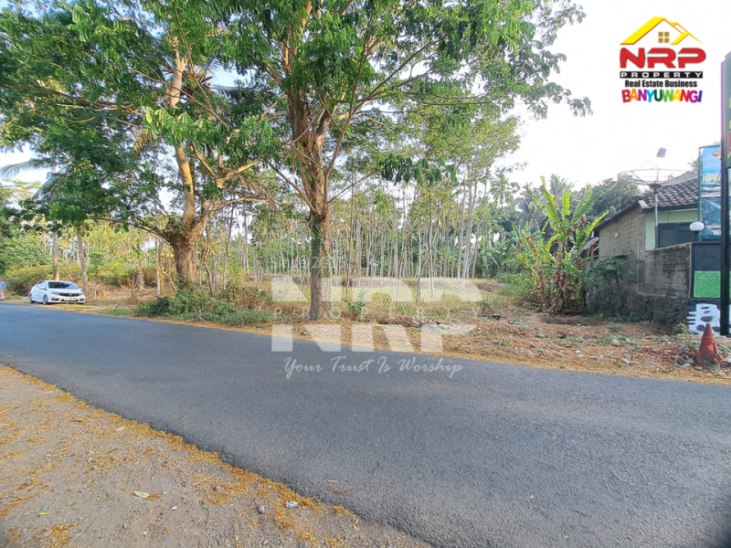 Tanah Kebun Dijual Masih Produkti dan Strategis di Kalipuro - Banyuwangi  Tanah Kebun Dijual Masih Produkti dan Strategis di Kalipuro - Banyuwangi  Tanah Kebun Dijual Masih Produkti dan Strategis di Kalipuro - Banyuwangi&nbsp;
Dekat dengan kantor koramil klatak, dekat dengan SMKN 1 Kalipuro&nbsp;
Cocok NRP BANYUWANGI