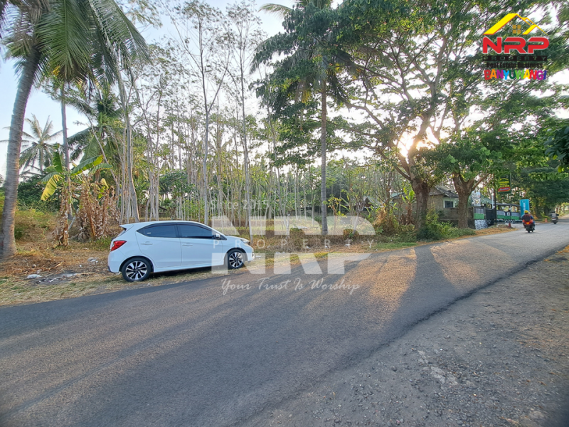 Tanah Kebun Dijual Masih Produkti dan Strategis di Kalipuro - Banyuwangi  Tanah Kebun Dijual Masih Produkti dan Strategis di Kalipuro - Banyuwangi  Tanah Kebun Dijual Masih Produkti dan Strategis di Kalipuro - Banyuwangi&nbsp;
Dekat dengan kantor koramil klatak, dekat dengan SMKN 1 Kalipuro&nbsp;
Cocok NRP BANYUWANGI