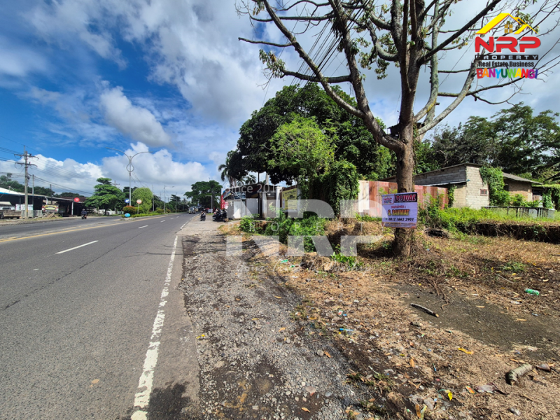 Tanah kosong dijual lokasi strategis - Kabat Banyuwangi  Tanah kosong dijual lokasi strategis - Kabat Banyuwangi  Tanah kosong dijual lokasi strategis - Kabat Banyuwangi&nbsp;
Kesempatan punya lahan di lokasi premium ????
Dekat dengan RTH dan Dekat hotel-hotel ternama di NRP BANYUWANGI