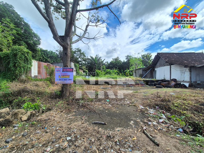 Tanah kosong dijual lokasi strategis - Kabat Banyuwangi  Tanah kosong dijual lokasi strategis - Kabat Banyuwangi  Tanah kosong dijual lokasi strategis - Kabat Banyuwangi&nbsp;
Kesempatan punya lahan di lokasi premium ????
Dekat dengan RTH dan Dekat hotel-hotel ternama di NRP BANYUWANGI