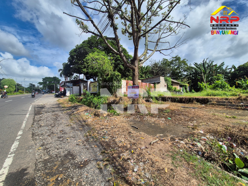 Tanah kosong dijual lokasi strategis - Kabat Banyuwangi  Tanah kosong dijual lokasi strategis - Kabat Banyuwangi  Tanah kosong dijual lokasi strategis - Kabat Banyuwangi&nbsp;
Kesempatan punya lahan di lokasi premium ????
Dekat dengan RTH dan Dekat hotel-hotel ternama di NRP BANYUWANGI