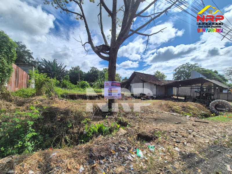 Tanah kosong dijual lokasi strategis - Kabat Banyuwangi  Tanah kosong dijual lokasi strategis - Kabat Banyuwangi  Tanah kosong dijual lokasi strategis - Kabat Banyuwangi&nbsp;
Kesempatan punya lahan di lokasi premium ????
Dekat dengan RTH dan Dekat hotel-hotel ternama di NRP BANYUWANGI