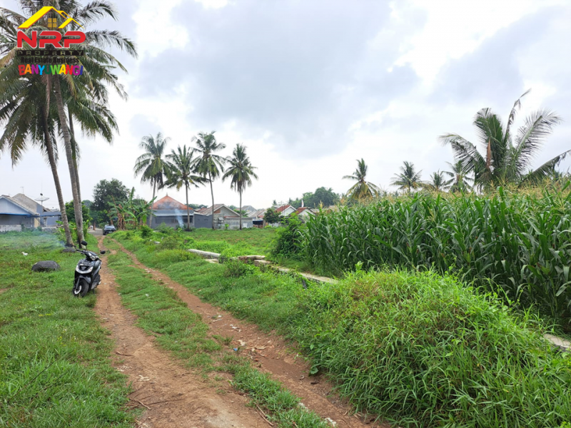 TANAH MURAH DI KAWASAN PERUM. GADING MAS PERMAI, DADAPAN - BANYUWANGI  TANAH MURAH DI KAWASAN PERUM. GADING MAS PERMAI, DADAPAN - BANYUWANGI TANAH MURAH DI KAWASAN PERUM. GADING MAS PERMAI, DADAPAN - BANYUWANGI&nbsp;
Lokasi sangat strategis, Akses Jl. Perumahan, Roda 4.
Cocok untuk pengembangan NRP BANYUWANGI