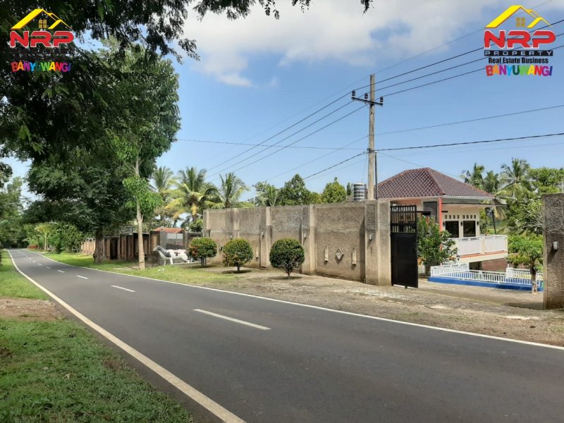 Dijual Villa Pribadi "VILLA BUKIT IJEN" di Jalan Utama Licin - Ijen Banyuwangi Dijual Villa Pribadi "VILLA BUKIT IJEN" di Jalan Utama Licin - Ijen Banyuwangi Dijual Villa Pribadi "VILLA BUKIT IJEN" di Jalan Utama Licin - Ijen Banyuwangi. Lokasi Stategis 0 Jalan Utama Licin - Wisata Kawah Ijen Banyuwangi, NRP BANYUWANGI