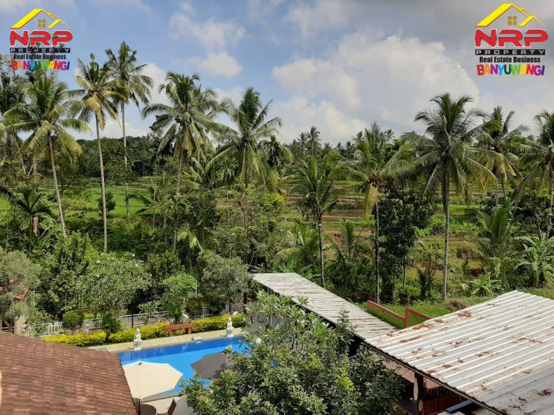 Dijual Villa Pribadi "VILLA BUKIT IJEN" di Jalan Utama Licin - Ijen Banyuwangi Dijual Villa Pribadi "VILLA BUKIT IJEN" di Jalan Utama Licin - Ijen Banyuwangi Dijual Villa Pribadi "VILLA BUKIT IJEN" di Jalan Utama Licin - Ijen Banyuwangi. Lokasi Stategis 0 Jalan Utama Licin - Wisata Kawah Ijen Banyuwangi, NRP BANYUWANGI