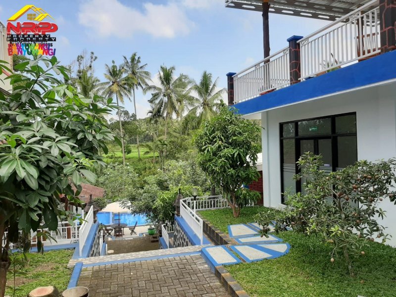 Dijual Villa Pribadi "VILLA BUKIT IJEN" di Jalan Utama Licin - Ijen Banyuwangi Dijual Villa Pribadi "VILLA BUKIT IJEN" di Jalan Utama Licin - Ijen Banyuwangi Dijual Villa Pribadi "VILLA BUKIT IJEN" di Jalan Utama Licin - Ijen Banyuwangi. Lokasi Stategis 0 Jalan Utama Licin - Wisata Kawah Ijen Banyuwangi, NRP BANYUWANGI