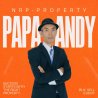 Papa Andy 
